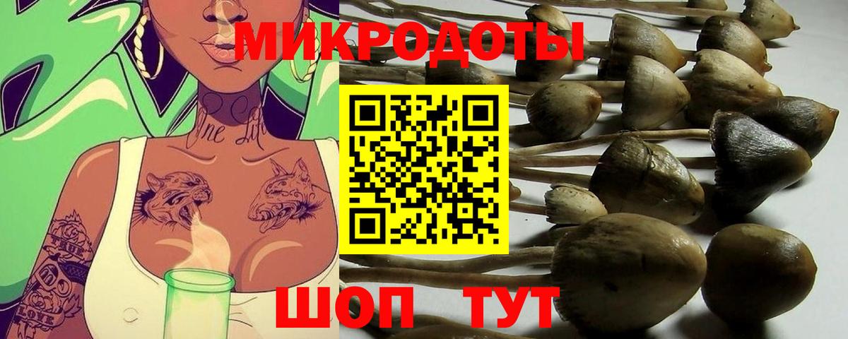Старая Русса  Псилоцибиновые грибы GOLDEN TEACHER  Галлюциногенные грибы мухоморы  Вход с VPN 
